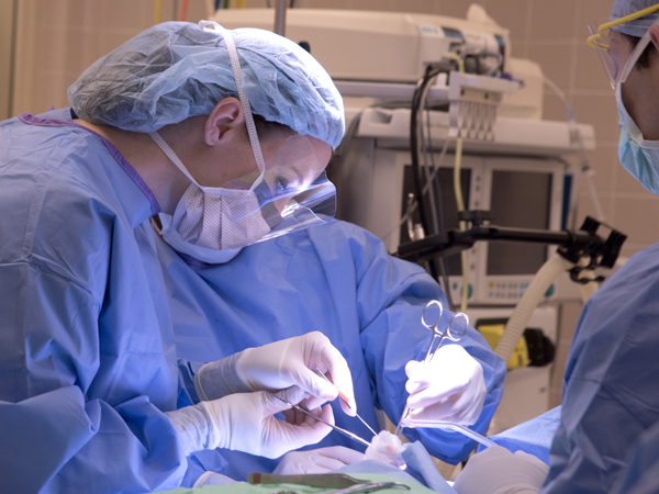 Female surgeons making a cut on the bias