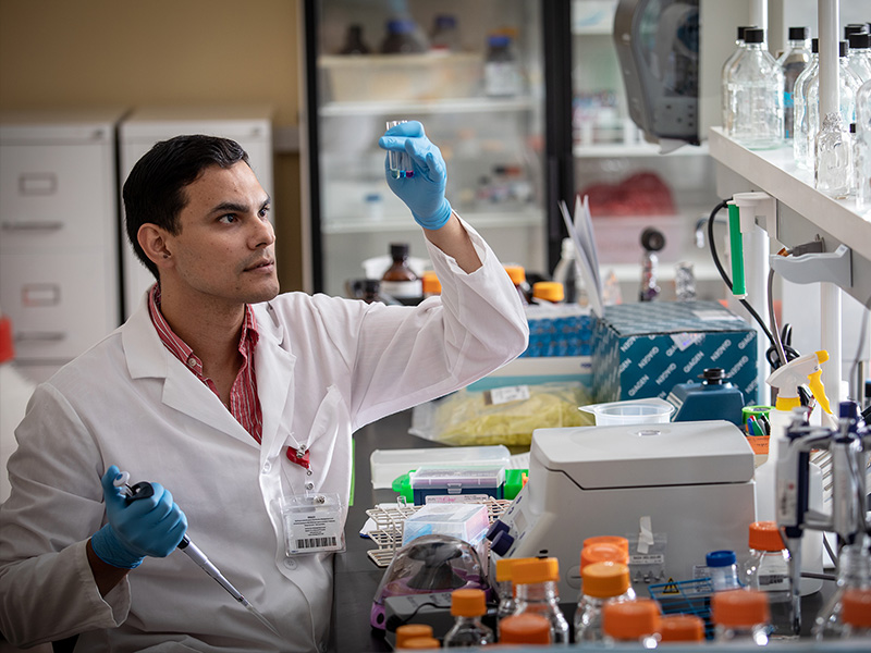 Dr. Edgar Torres Fernandez, a postdoctoral fellow in cell and molecular biology, studies polycystic ovary syndrome.