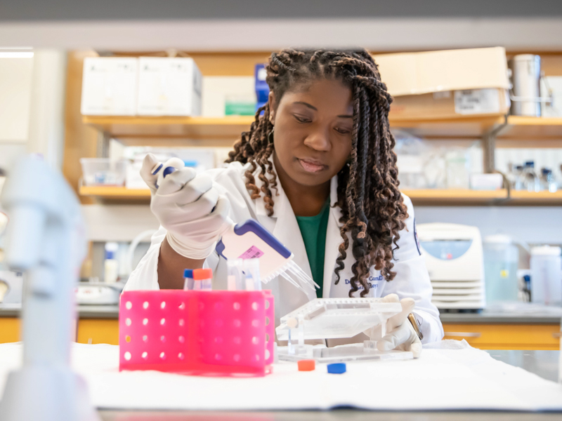 Dr. Denise Cornelius, director of PreClinical Research and associate professor of emergency medicine, and pharmacology and toxicology,  measures good and bad proteins in tissue samples.
