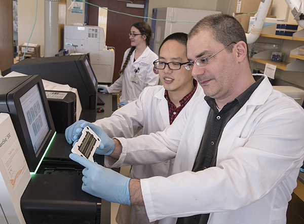 Dr. Ashley Robinson, foreground, and Xiao Luo prepare to load a DNA chip on a sequencing machine in UMMC's genomics facility.