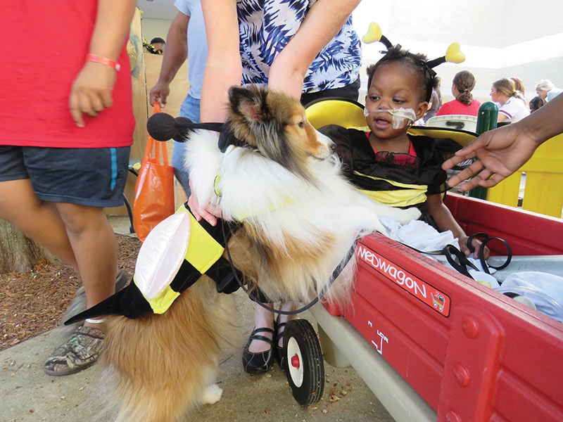 Kamiya Wofford of Cedar Bluff greets Lyla, a pet therapy dog, at a Batson Children's Hospital fall festival Oct. 31, 2016.