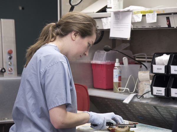 Dr. Katie Tumminello, third-year pathology resident, works in the surgical pathology lab.