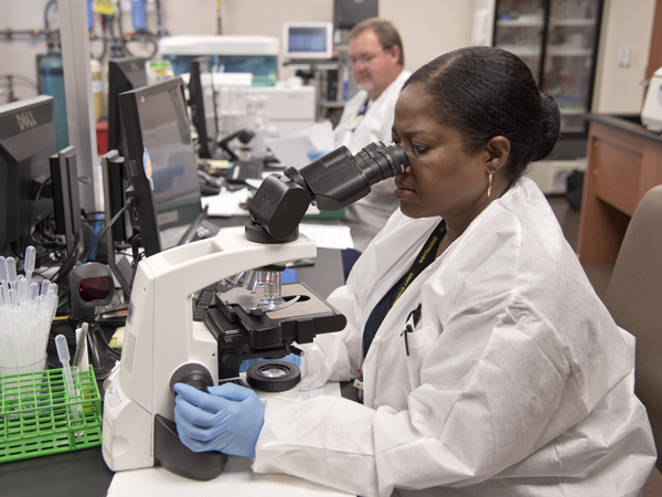 Medical laboratory technician Jacqueline Bell examines patient specimens.