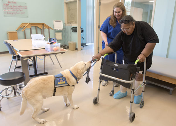 Under the guidance of physical therapist Gina McRae, left, Christine Porter, takes a walk with the assistance of Lanny, who tugs the rope she's holding.