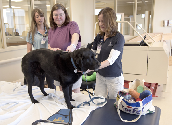 Mandy Owens, center, a patient at Methodist Rehabilitation Center, works on her arm strength by brushing Puma, under the guidance of Jenn Sivak, right, and occupational therapist Lindsey Parker, left.