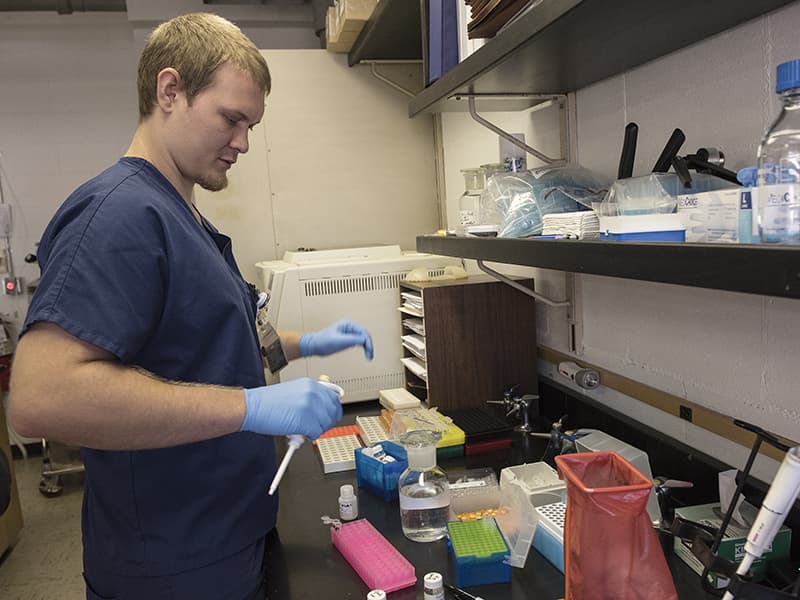 Derek Johnson, a technician in UMMC's toxicology lab, tests sophisticated equipment to make sure it's correctly testing samples of opioid and opioid synthetics.