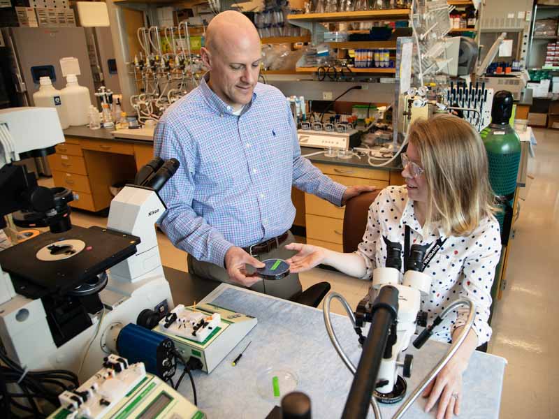 Dr. Mike Ryan, left, works with Ph.D. student Elena Dent in their lab. Ryan, a professor of physiology and biophysics, won the 2019 Regions TEACH Prize.
