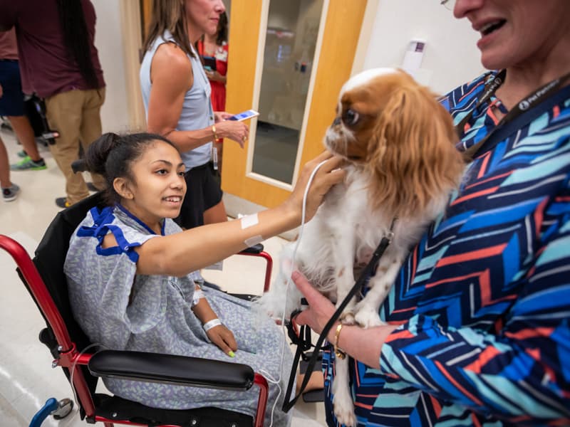 LaDya Graham of Jackson, a Children's of Mississippi patient, pets Ollie the therapy dog.
