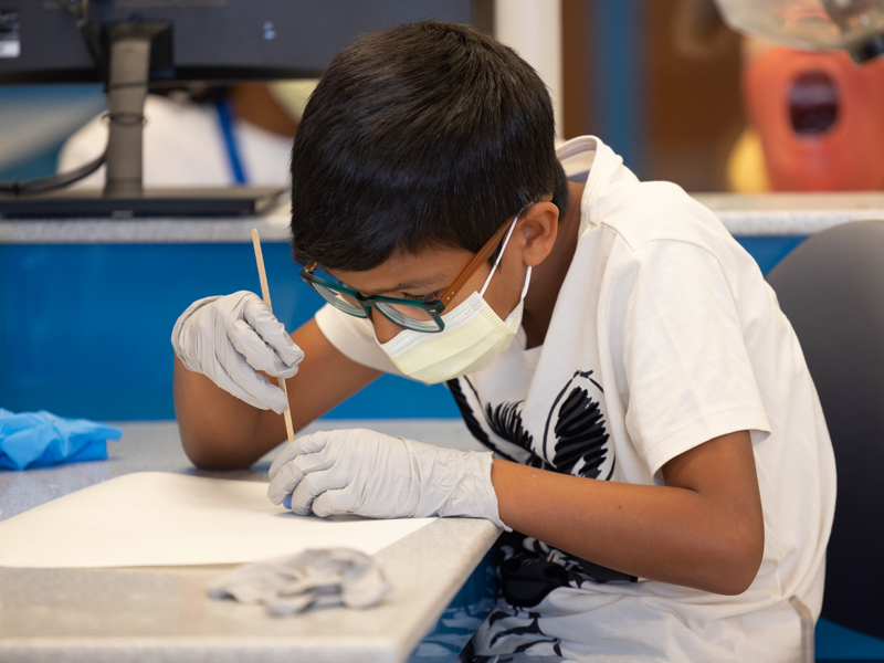 Ten-year-old Andre Florez shapes a dental mold in a School of Dentistry laboratory during the week-long S.M.I.L.E U.