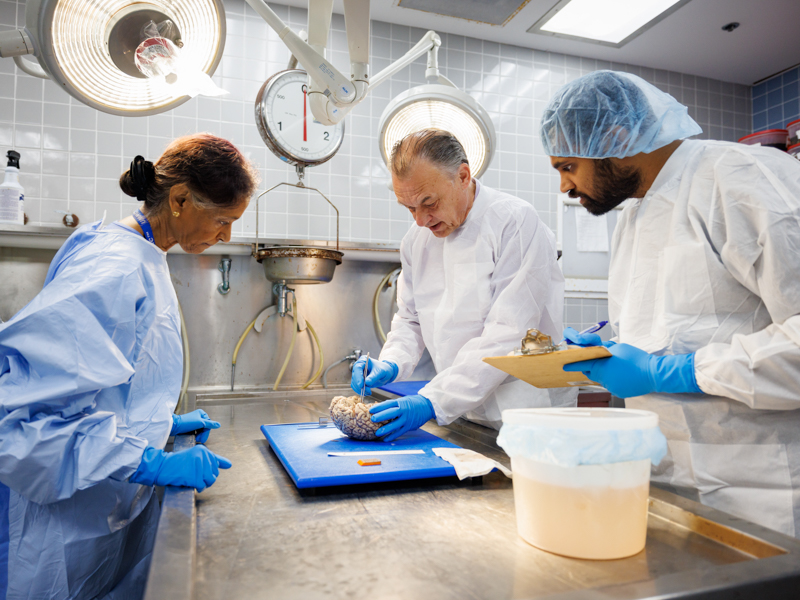 Subramony and Dr. Alexander Vortmeyer, professors of pathology, conducting a brain autopsy with pathology resident