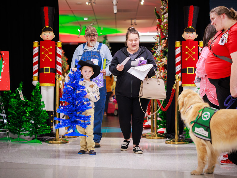 Dalton Sealy, 5, of Laurel picks out his blue Christmas tree at Winter Wonderland. Joe Ellis/ UMMC Communications
