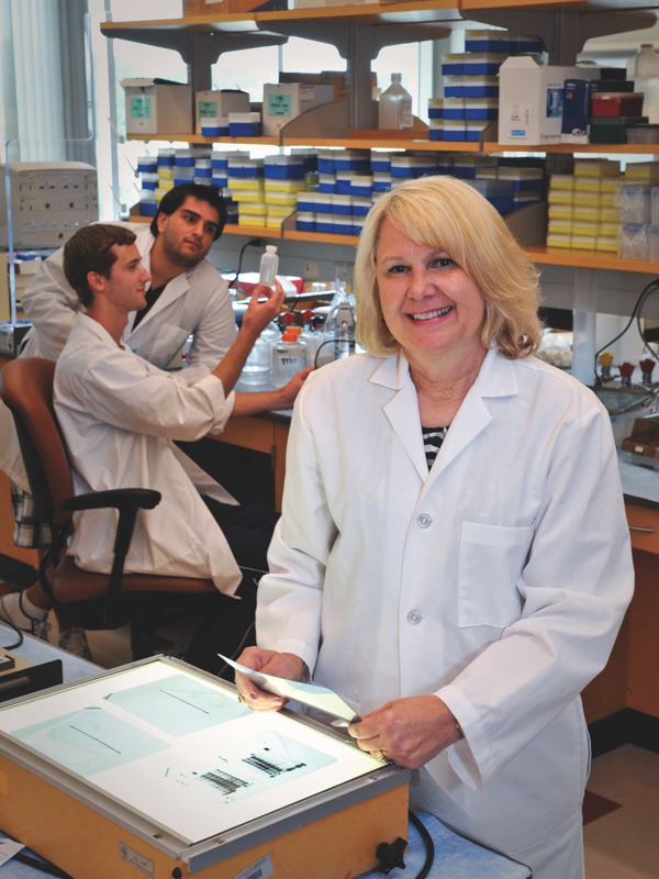 Dr. Janie Reckelhoff, PhD, served as chair of the Department of Cell and Molecular Biology from 2016 to 2023. Her research included advancing women’s health by developing and expanding innovative research programs. Jay Ferchaud/ UMMC Communications