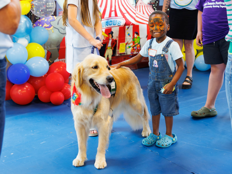 Daniel Lee, 5, makes friends with Children's therapy dog, Hollywood, during the NICU reunion.