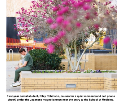 First-year dental student, Riley Robinson, pauses for a quiet moment (and cell phone check) under the Japanese magnolia trees near the entry to the School of Medicine.