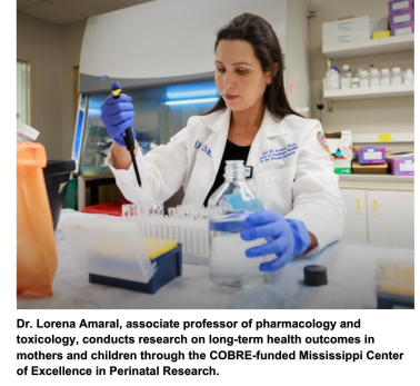 Dr. Lorena Amaral, associate professor of pharmacology and toxicology, conducts research on long-term health outcomes in mothers and children through the COBRE-funded Mississippi Center of Excellence in Perinatal Research.
