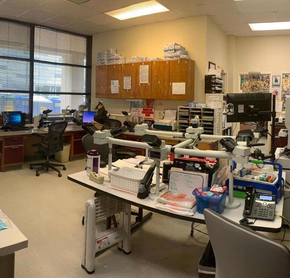 The clinic's lab has multiple stations for testing.