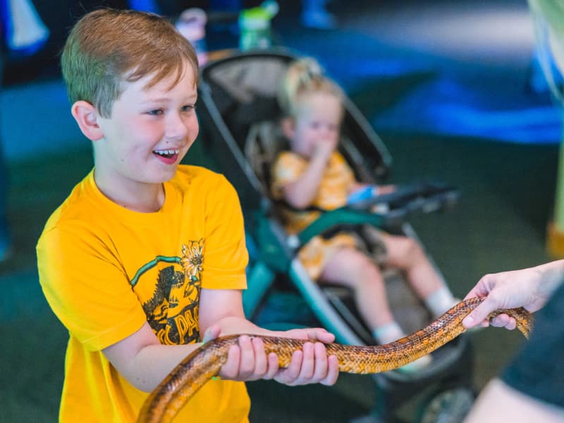 A boy in a yellow shirt holds a snake during Family Fun Day