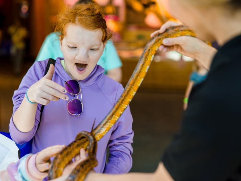 A girl with red hair looks at a snake at Family Fun Day
