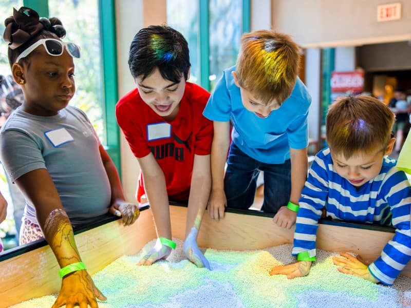 Children play together during Family Fun Day