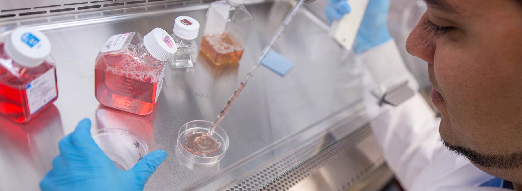 A researcher uses a pipet to conduct an experiment at a lab bench