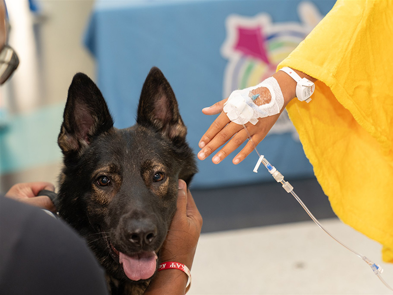 Closeup of a patient interacting with a K-9 police officer.