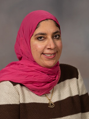 Noha M. Elsayed, PhD