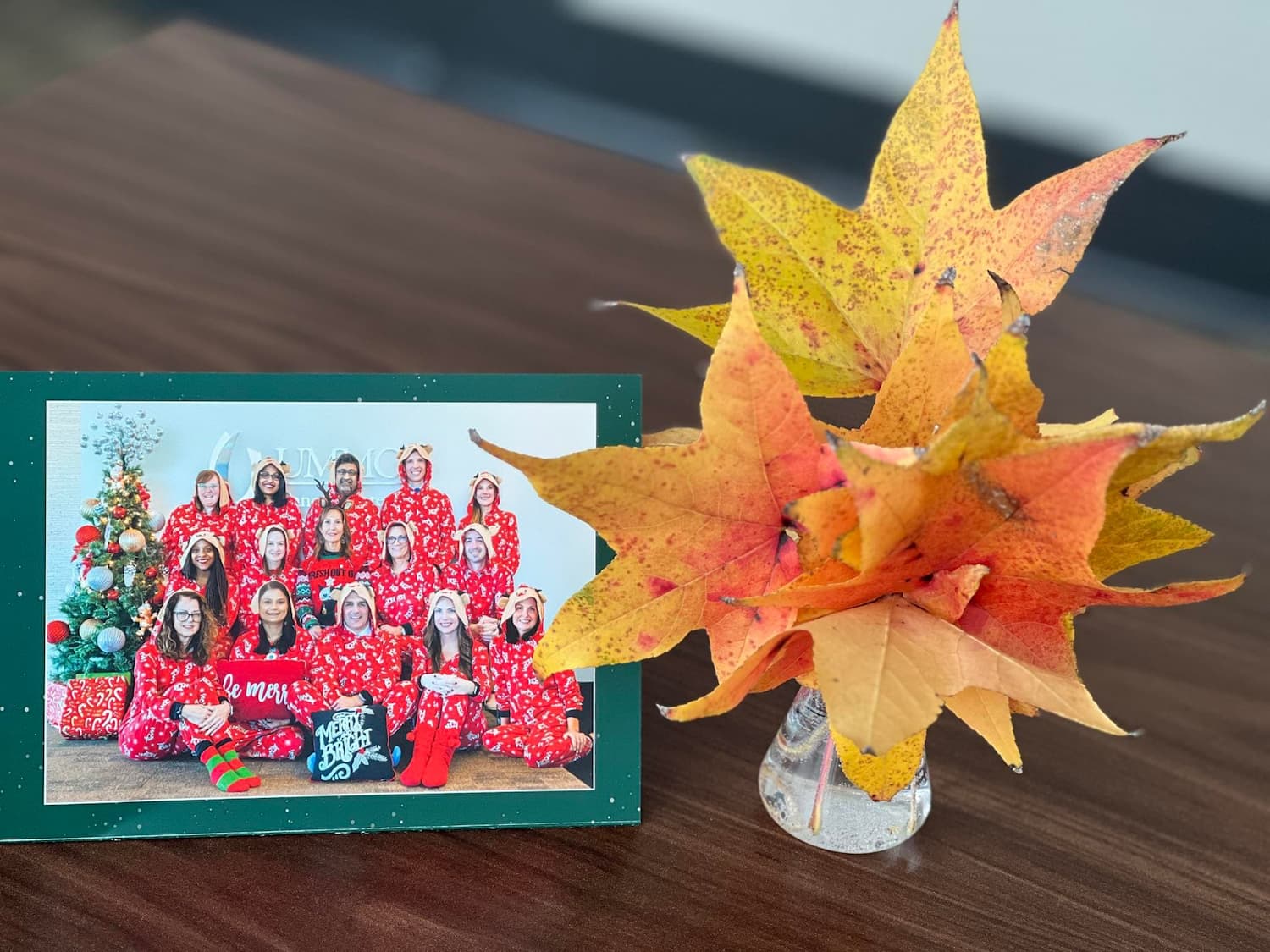 CCRI's Christmas Card shows team members in matching holiday pajamas.