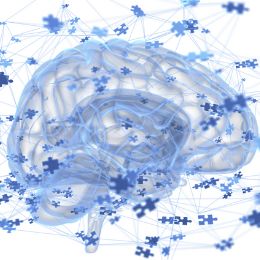A stylized image of a brain with puzzle pieces in blue on a white backtround