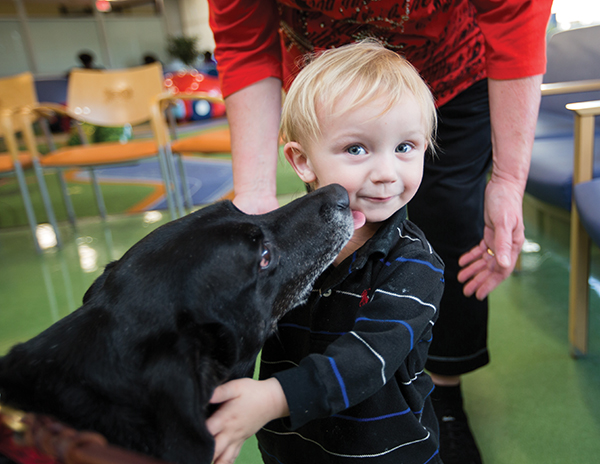 Pet therapy dogs are kids’ best friends at Batson Children’s Hospital