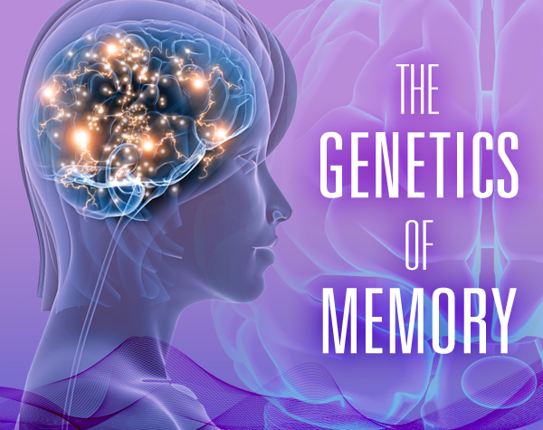 Researchers uncover clues to memory performance in international genetic study
