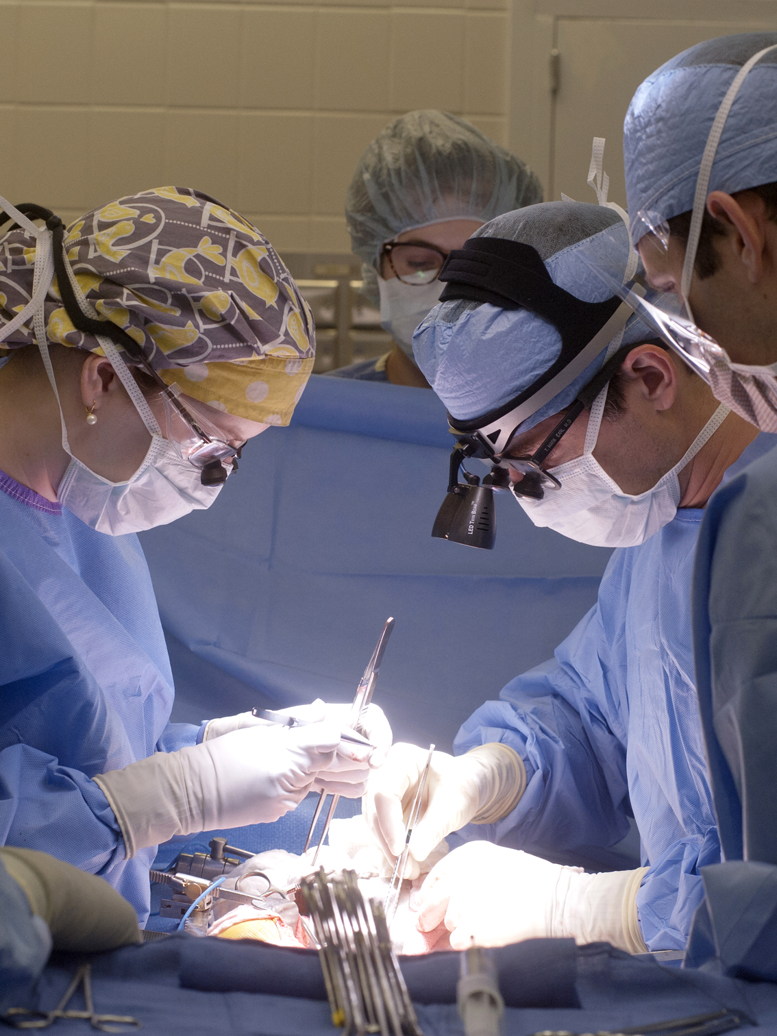 Dr. Mark Earl (right), assistant professor of surgery, and Dr. Katie Moore (left), chief resident in surgery, perform Smith’s transplant.