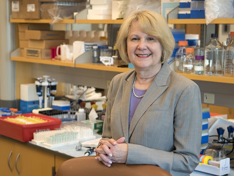 Dr. Jane Reckelhoff, professor and chair of biochemistry, is the director of the Center for Excellence in Perinatal Research. Funded by an award from the National Institutes of Health, the CEPR will study relationships and health disparities in adverse pregnancy, pregnancy outcomes and developmental programming of cardiovascular, renal, metabolic and behavioral diseases.
