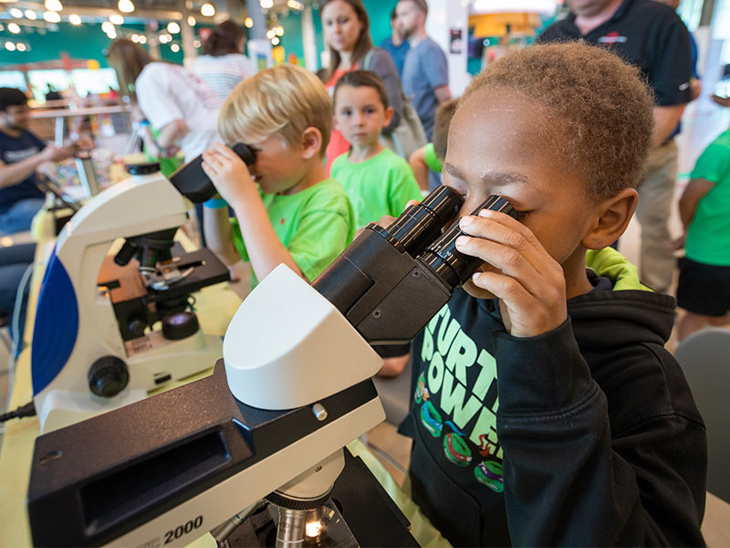 Jaylen Curtis, a Northshore Elementary School student, checks out a slice of brain under the microscope during Discovery U Day at the Mississippi Children's Museum.