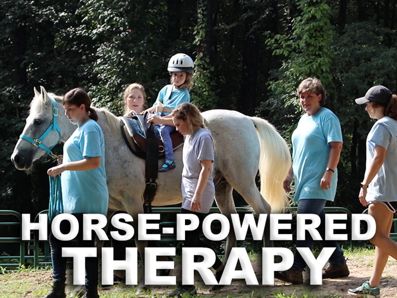 Video: Saddle up! SHRP students' activities bolster horse trail therapy