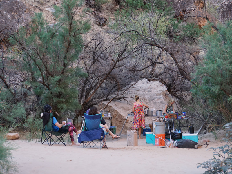 Camped on a strip of beach inhabited by stunted trees and king-sized rocks, members of the crew ready a meal.