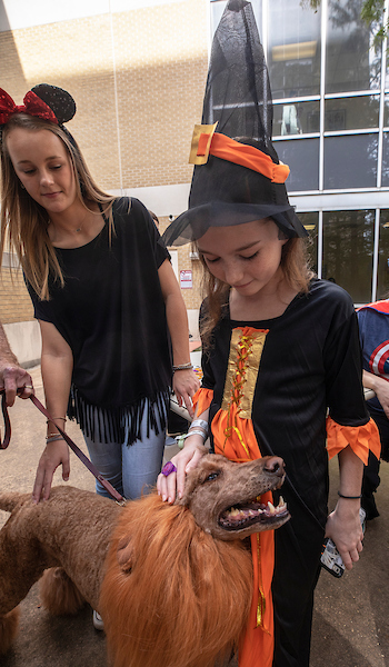Batson Children's Hospital patient Khloe Creel of Ridgeland pets Honey, a therapy dog who is dressed as a lion for the hospital's Halloween party Wednesday.