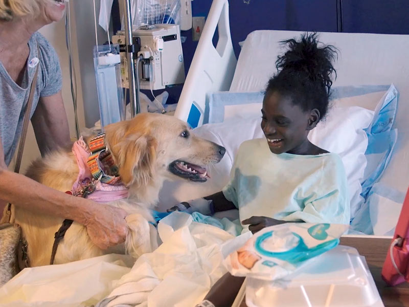 Video: Patient pups are best of friends in times of need