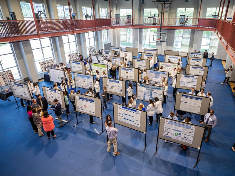 Face-to-face for the first time in two years, SHRP Research Day 2022 highlighted the work of 245 students, faculty and staff.