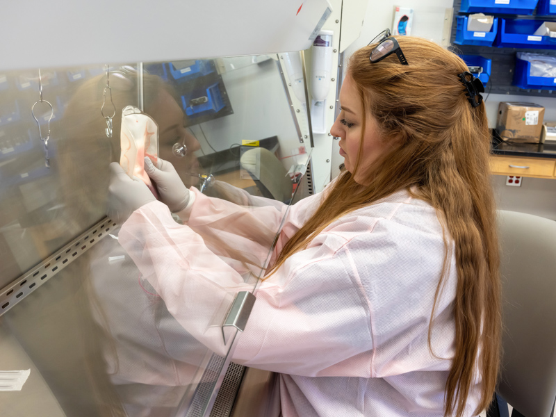 Bone Marrow Transplant laboratory scientist Diane Cone prepares stem cells for transplant into a patient. Jay Ferchaud/ UMMC Communications 