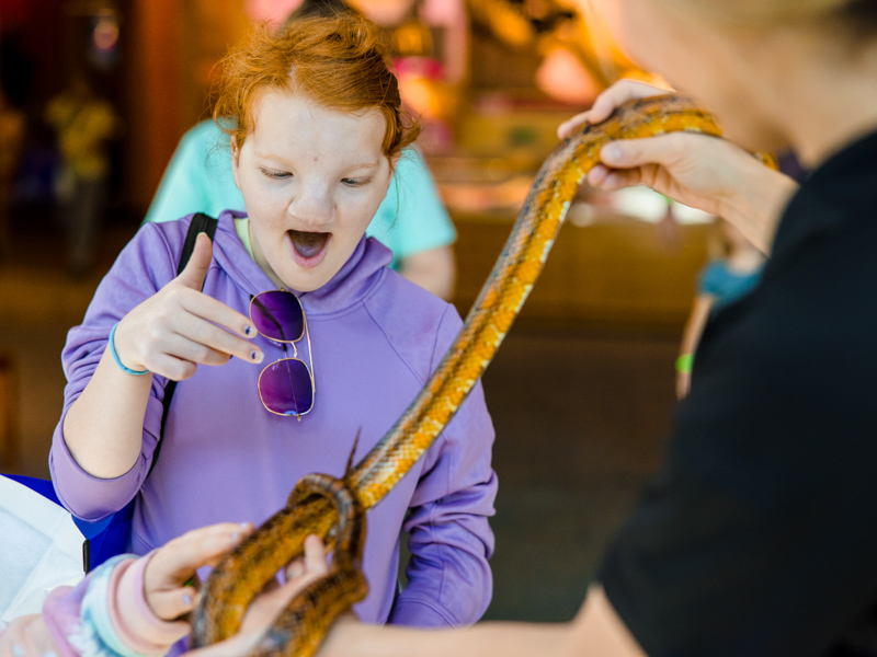 Children's of Mississippi patient Emily Braswell of Brandon pets a snake at the Mississippi Museum of Natural Science during the inaugural Plastic Surgery Family Fun Day.