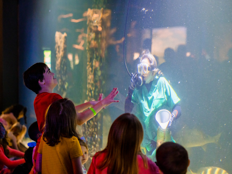 Children's of Mississippi patients including Zachary Downing of Morton, left, watch a diver wearing scrubs feed the fish at the Mississippi Museum of Natural Science.