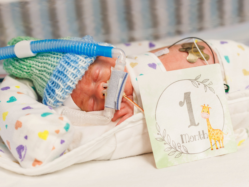 Franklin Walker Meyers and his three sisters and brother are a month old.