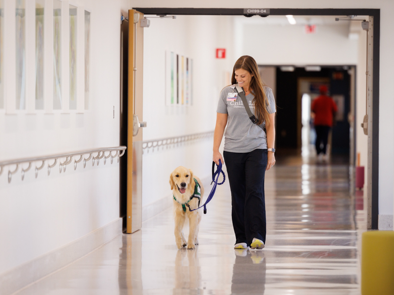 Child life manager Cara Williams walks through Children's of Mississippi's Kathy and Joe Sanderson Tower with Hollywood, the children's hospital's facility dog.