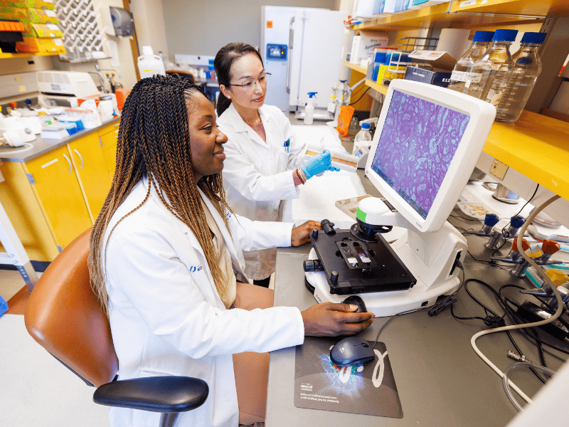 Dr. Denise Cornelius, associate professor of toxicology and pharmacology, and Jie McKay, lab technician, examine images of renal tubules during their shift in the lab.