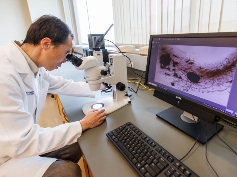 Dr. Keli Xu, associate professor of cell and molecular biology and a member of the Cancer Center and Research Institute at UMMC, is one of many researchers at CCRI.