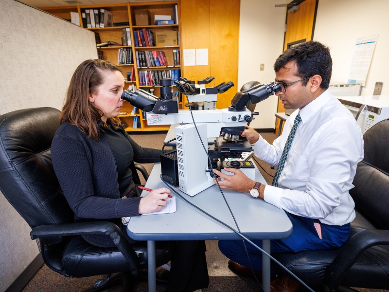 Samantha Payton, left, a first-year resident in pathology, looks at slides with Dr. Masood Hassan, assistant professor of pathology and resident program director.