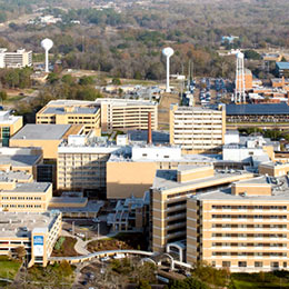 Department of Medicine - University of Mississippi Medical Center